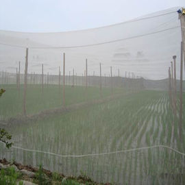 China 40 Netwerk100% HDPE Insectnetwerk Opleveren niet Giftig voor Ziektepreventie leverancier