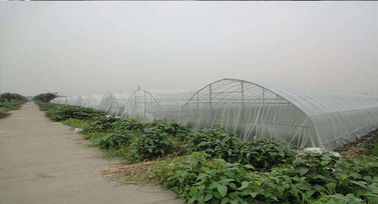 China 45gsm het witte Insectnetwerk Opleveren voor Antibijen Landbouwserre leverancier