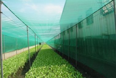 China Het aangepaste Insectnetwerk Opleveren in Zaailing die - Proces48% Poreusheid opheffen leverancier