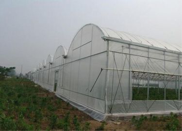 China Groter Insectnetwerk die Landbouw Behandelend Materieel 100-150m/-Broodje opleveren leverancier