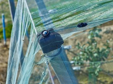 China 100% HDPE 4x50m Insectnetwerk het Opleveren voor Serrekinderdagverblijf/Landbouw leverancier