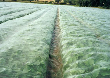 China Het landbouwscherm die van de Serre Witte Vlieg Antibladluis voor Groente opleveren leverancier