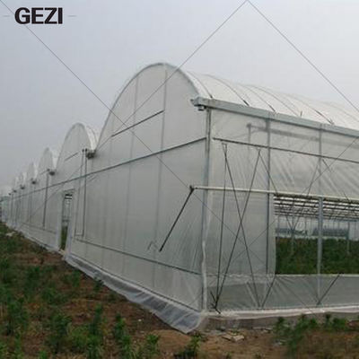 China Gezi Fijn Mesh Insect Protection Net voor Tuin, Serre, Installaties, Fruit, Bloemen, Gewassen, Insektenwerend middel leverancier