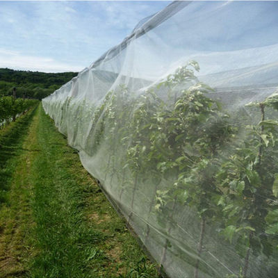China HDPE UV Bestand het Opleveren Antihagel voor Landbouw en Gardenning leverancier
