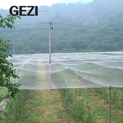 China 0.3×0.3mm 100% het Maagdelijke UVresistat Landbouwnetwerk van Insect Netto Greenhous voor Tuin Plantaardige Dekking het Opleveren Fabriek leverancier