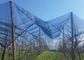 Netten van het de Klamboeklimaat van de tuinserre de Openlucht UV Gestabiliseerd voor Met lange levensuur leverancier