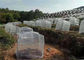 Het landbouw van het het Insectnetwerk van Tuingewassen de Vruchten van de Groentenbloemen Opleverende Bewijs van het Dekkingsinsect leverancier