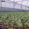 De Netto Tuin Fijn Mesh Tunnel Grow Insect Net van het Geziinsect voor de Installaties van het Groentenfruit 10 X 2,4 M Vegetable Protection Net leverancier