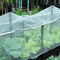 Wit netto tuininsect, Vogels, installaties en netto groenteneekhoorn, insect netto 6,5 X 16 voeten leverancier