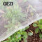 0.3×0.3mm 100% het Maagdelijke UVresistat Landbouwnetwerk van Insect Netto Greenhous voor Tuin Plantaardige Dekking het Opleveren Fabriek leverancier