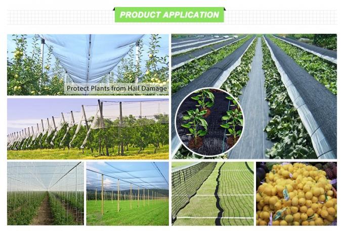 Landbouw 60 van de het Bewijstuin van het Netwerkinsect Opleverende HDPE Kunststoffen