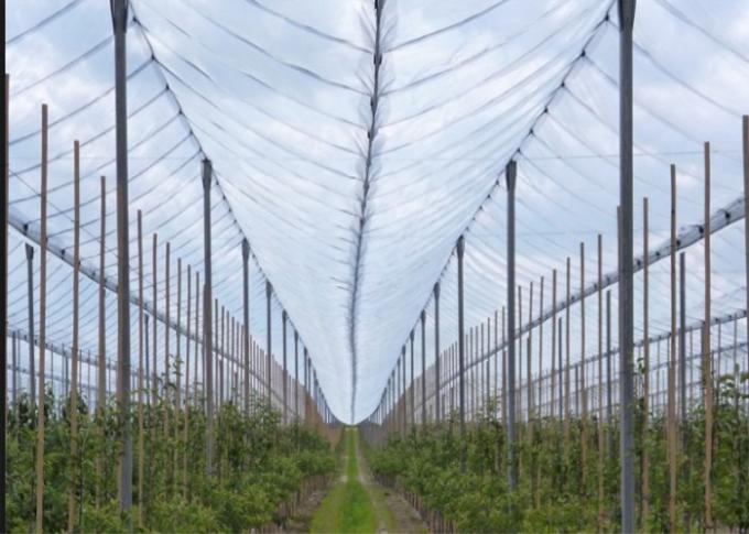 OEM Netten van de de Serre de Landbouw Antihagel van het Hagelbewijs voor Apple-Bomen