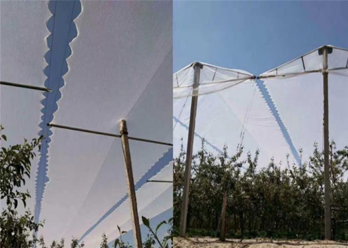 Landbouwbescherming met het UV Netto het Netwerk van het Boomgaardinsect Opleveren en Antihagel voor Appelenbomen