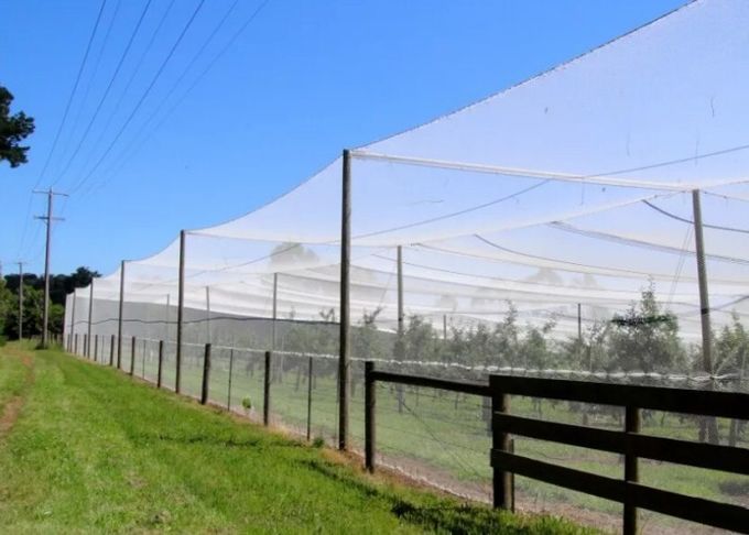 Hoog rendement Aangepast Insectnetwerk dat 80%-Windschermwaarde oplevert