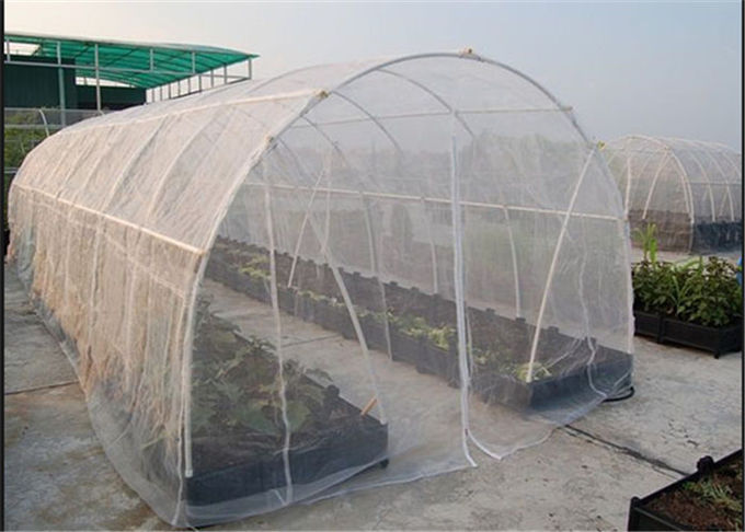De toepassing van Insect levert het Gebruik van Insect-Proof Netten op om Barrières kunstmatig te construeren om het Voorkomen te verminderen