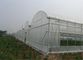 De Tuin van het insectbewijs het Opleveren, Landbouw Aangepaste Insect Opleverende Lengte leverancier