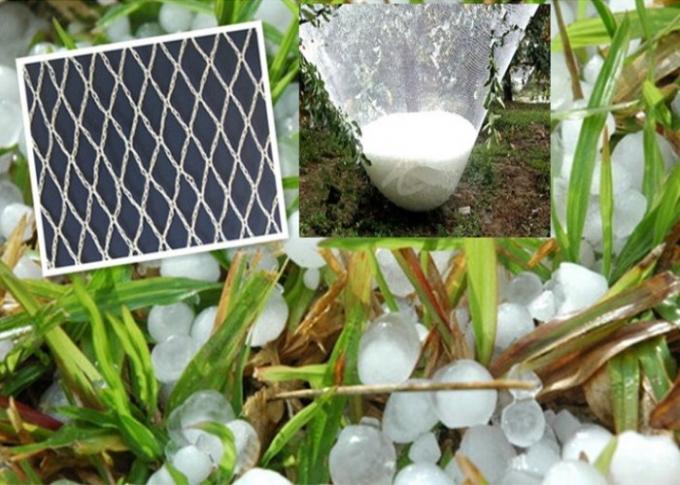 Het duurzame HDPE Plastic Insectnetwerk Opleveren voor Gewas Beschadigde Bescherming